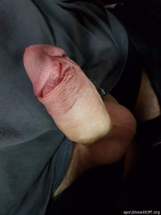 Photo of a middle leg from Aps