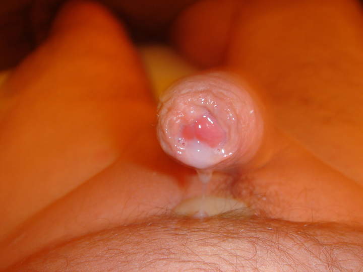 Photo of a weasel from sivad666