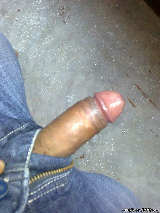 Photo of a tool from tutu