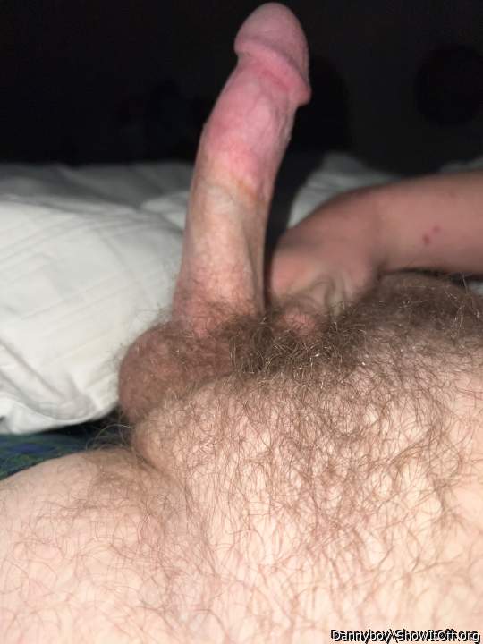 Photo of a weasel from Dannyboy