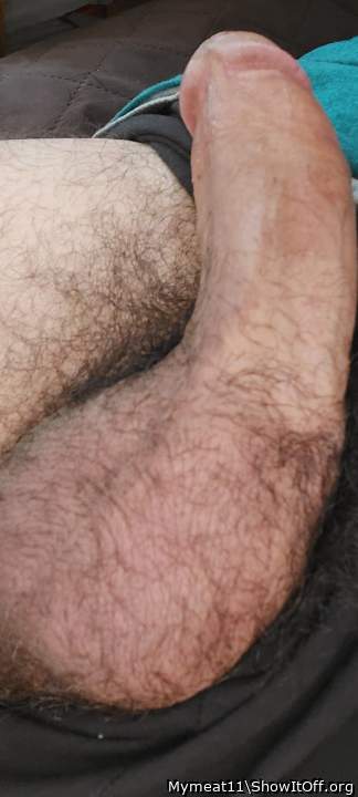 Photo of a snake from Mymeat11