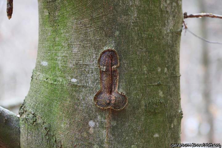 they are everywhere!