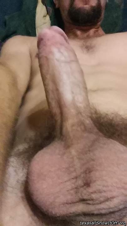 Photo of a weasel from texasal