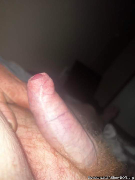 Photo of a horn from Ilovetowatch