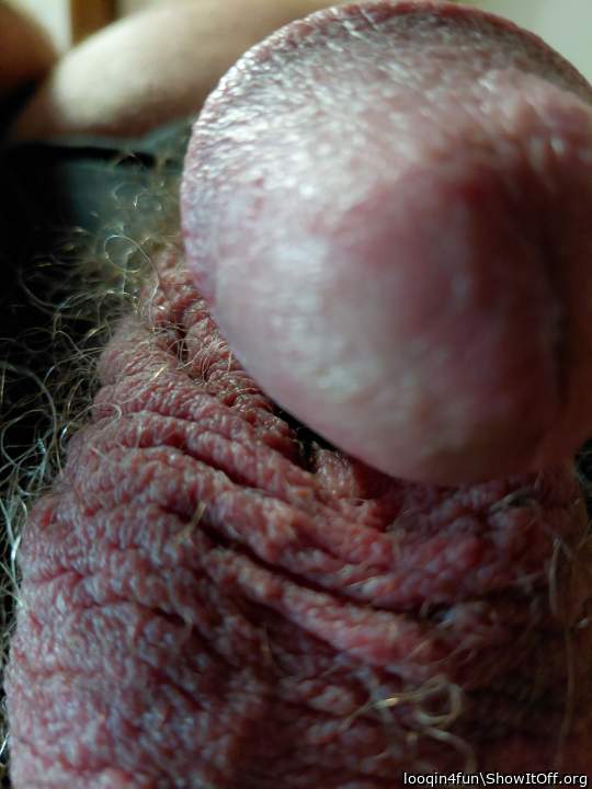 Photo of a lizard from looqin4fun