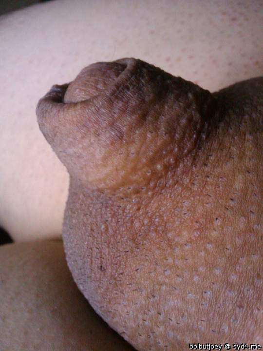 Photo of a hot dog from bblbutjoey