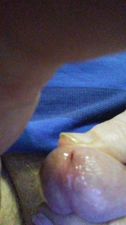 Photo of a weasel from niceonebighead