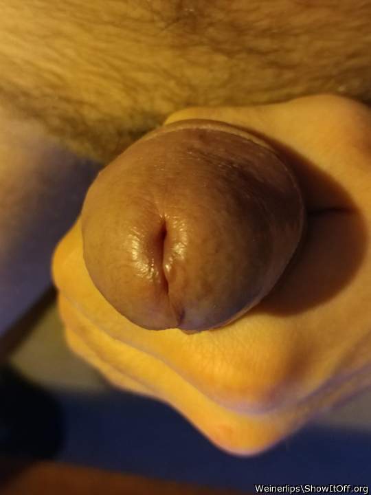 Photo of a pecker from weinerlips