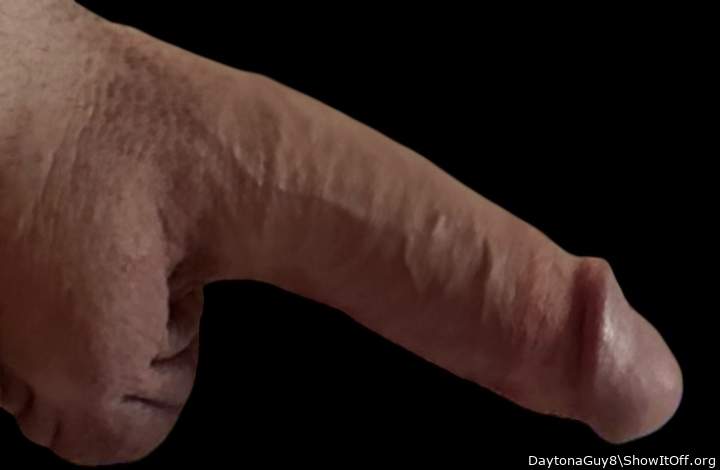 Photo of a horn from DaytonaGuy8