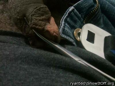 Photo of a penis from Ryan560