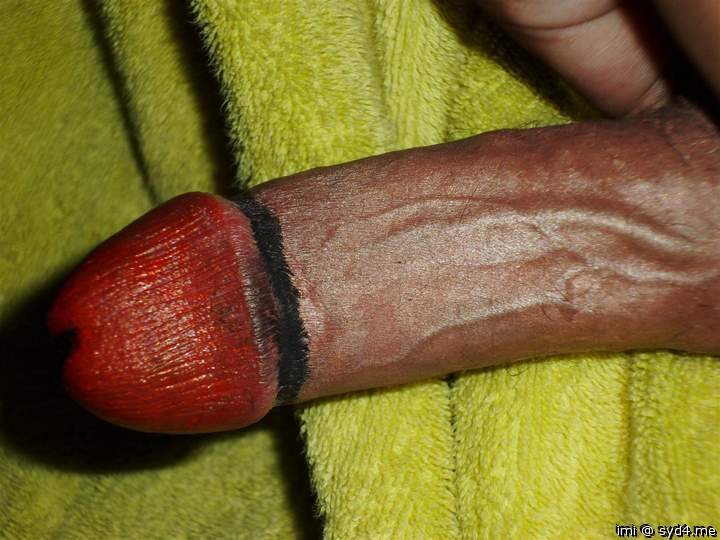 Photo of a weasel from imi