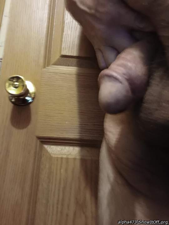 Photo of a tool from alpha473