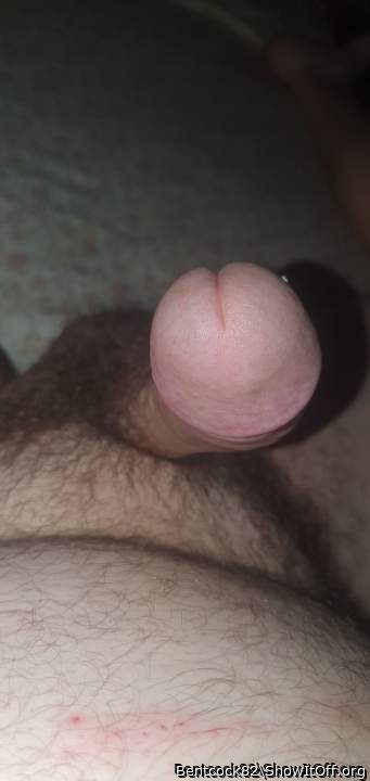 Photo of a bald-headed mouse from Bentcock82