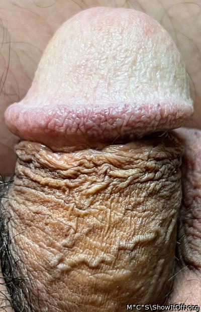 Beautiful cock 