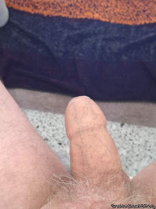 Photo of a bat from Greshlo