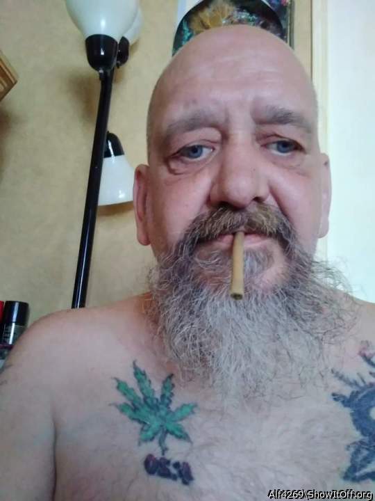 Photo of a prick from Alf4269