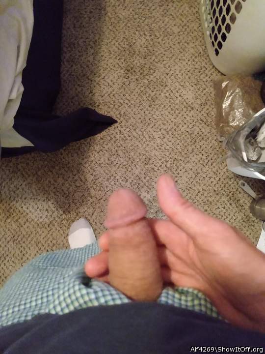 Photo of a prick from Alf4269