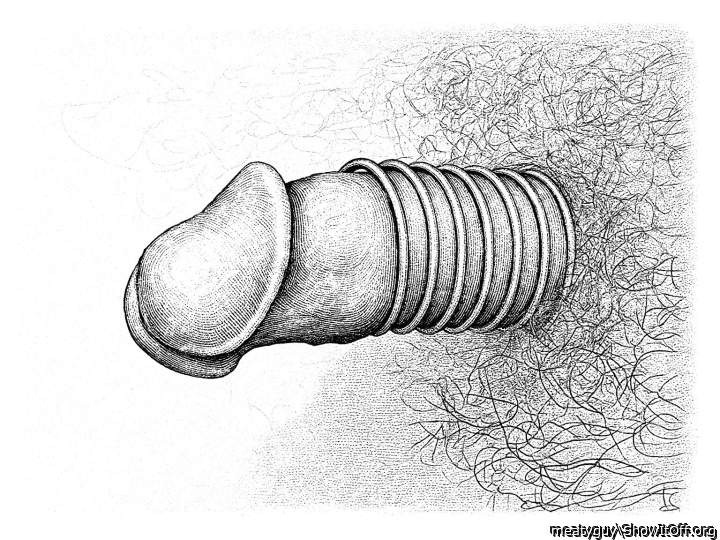 Photo of a horn from meatyguy