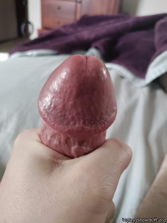 Do you like my big red head