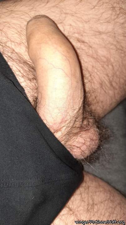 Photo of a horn from winger70