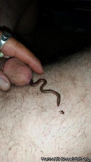 Worm going deep