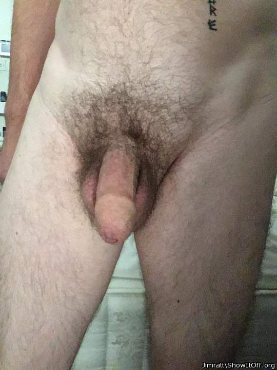 Photo of a middle leg from Jimratt