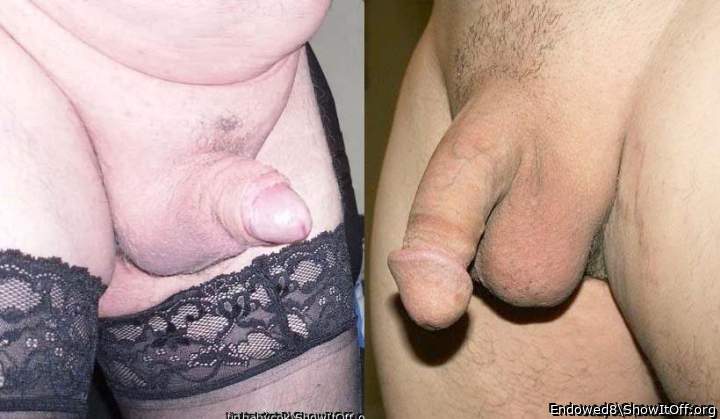 Photo of a dick from Endowed8