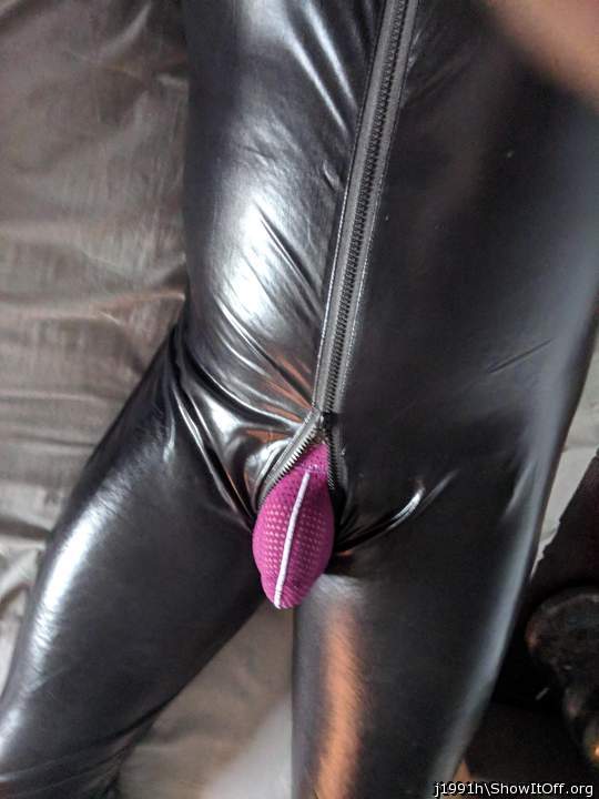 Photo of a middle leg from J1991h