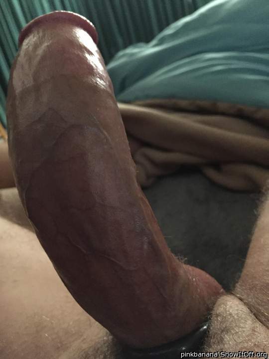 Photo of a hot dog from Pinkbanana
