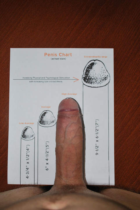 My high average cock