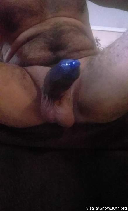 Photo of a pecker from visalia