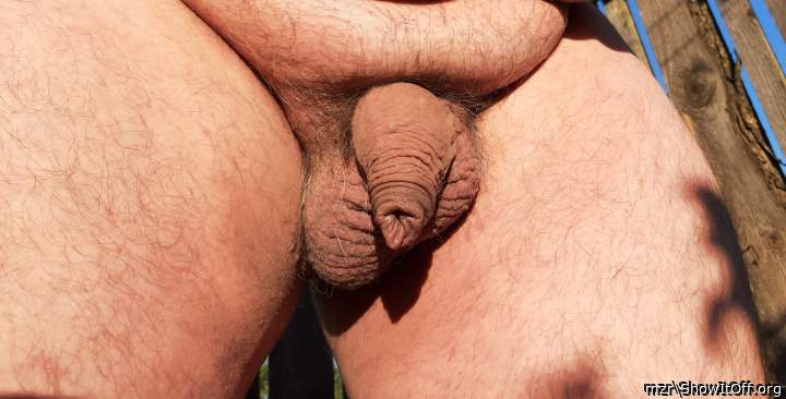 uncut dick and balls