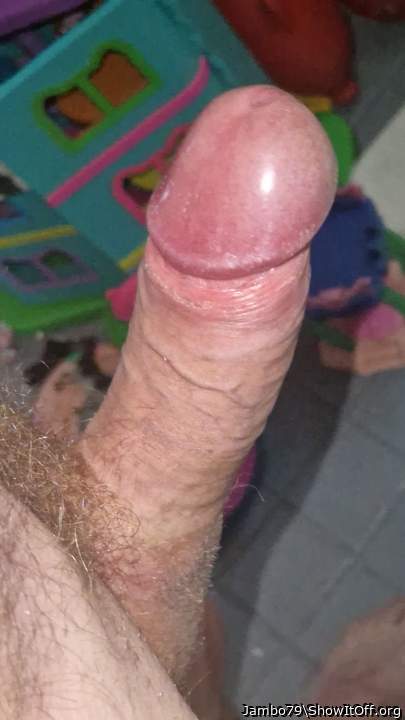 Photo of a middle leg from Jambo79