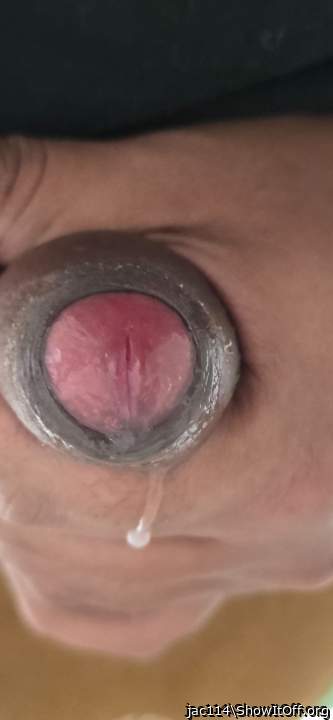 Photo of a wiener from jac114
