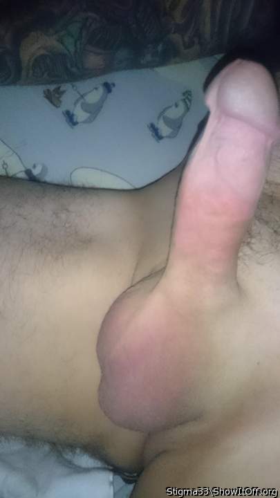Photo of a cock from Stigma33