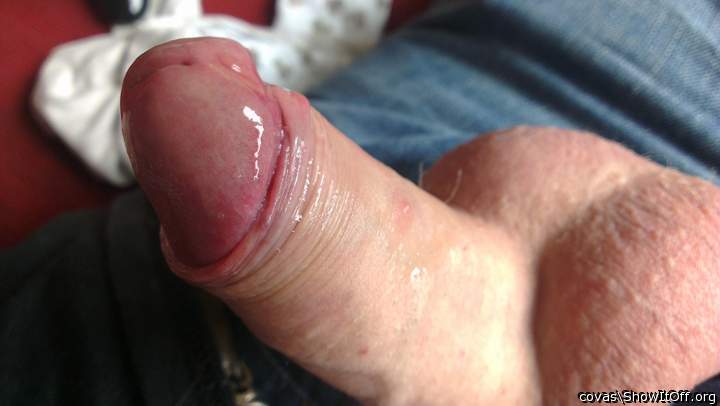 Photo of a wiener from covas