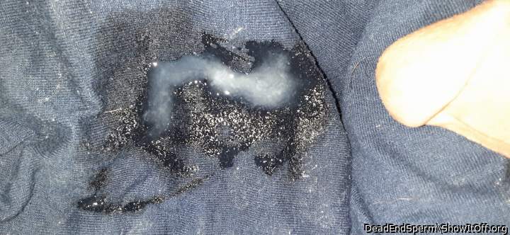 Photo of a horn from DeadEndSperm