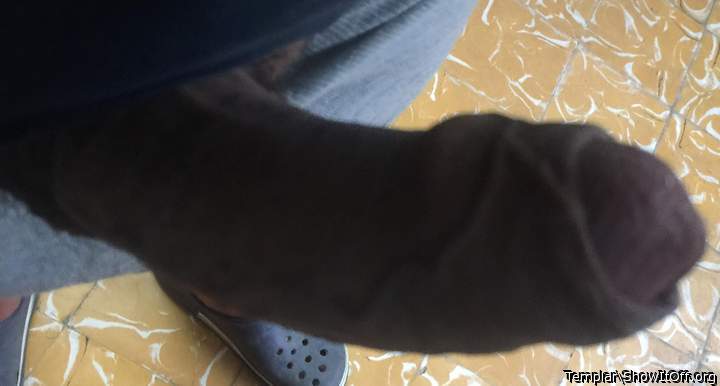 Photo of a penis from Templar