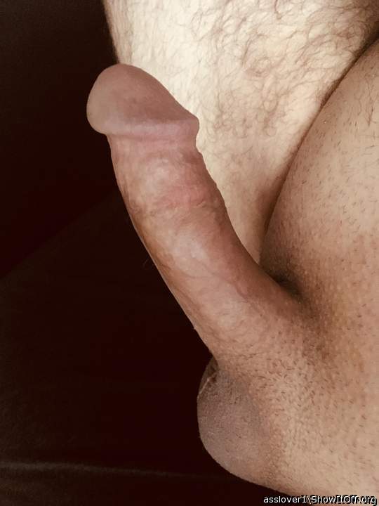 My horny cock