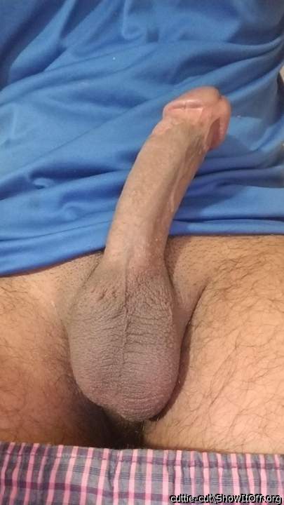 Photo of a lizard from cuttie-cut