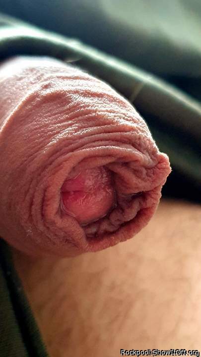 Photo of a boner from Rockpool
