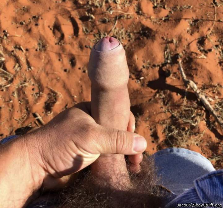 Photo of a penile from Jaco86