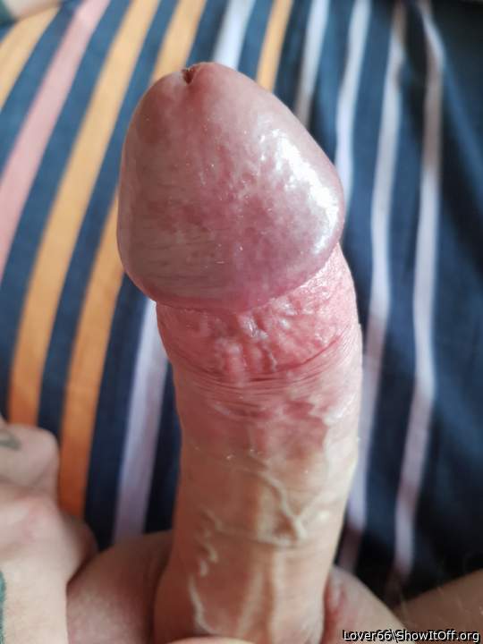 My horny cock