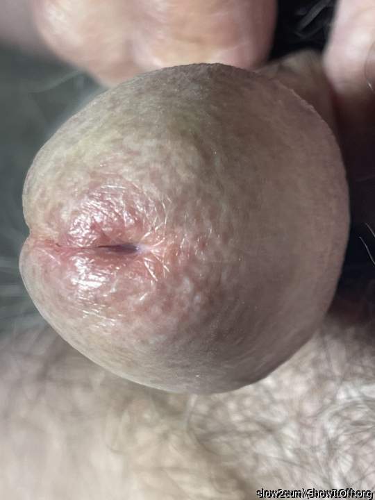 Beautiful closeup ! 