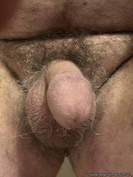 Photo of a bald-headed mouse from masterbater