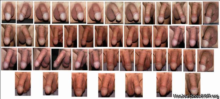 Cock Collage