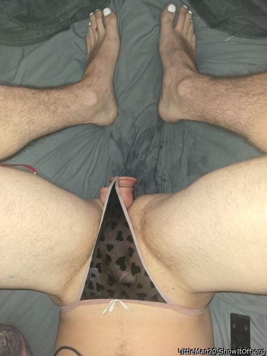 Photo of a bat from LittleMan20