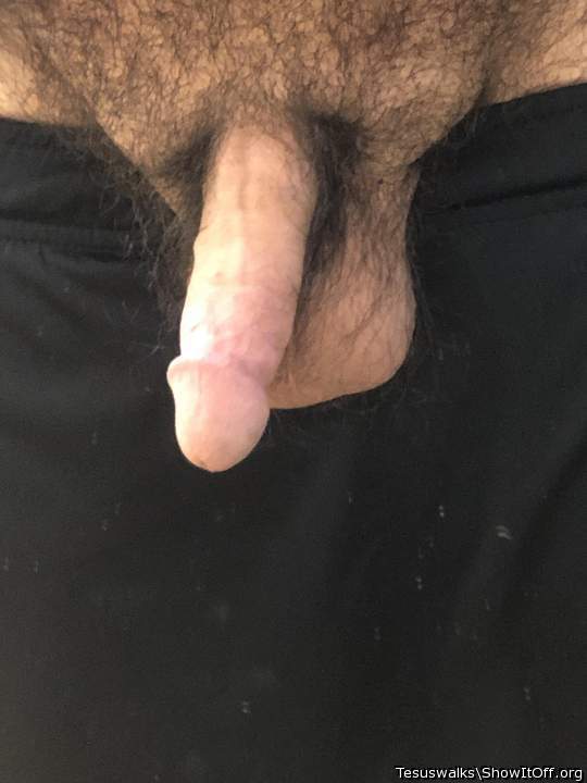 Photo of a dong from Tesuswalks