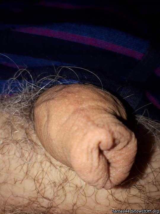 Photo of a pecker from James44