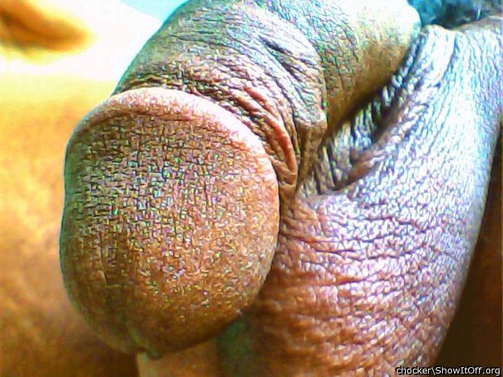Photo of a bald-headed mouse from chocker